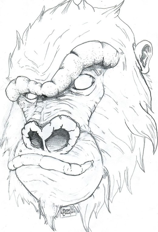 Detailed gorilla head drawing by Josh C. Crawford